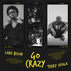 Lare-Bison-Go-Crazy-artwork_1_.jpeg
