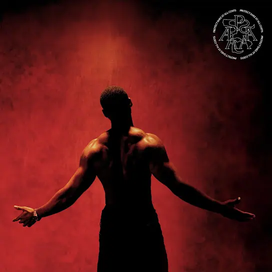 Sarz-Protect-Sarz-at-All-Costs.jpg (4)